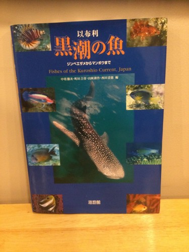 Fishes the kuroshio - fishes, of