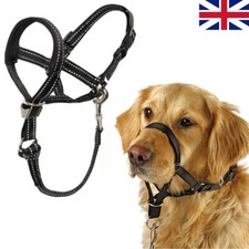 Halti Headcollar Non Pull Dog