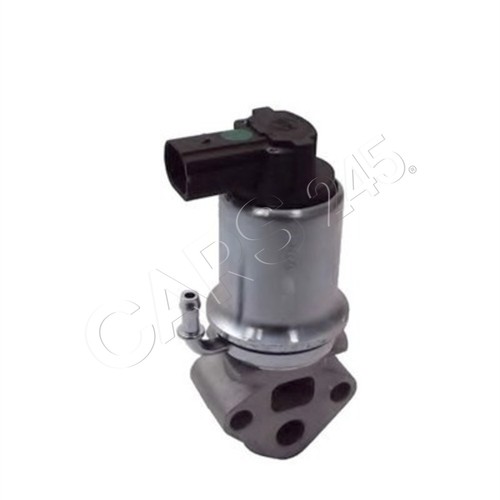 Exhaust gas recirculation - exhaust,