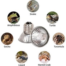 3Pcs Reptile Light Bulb Uv