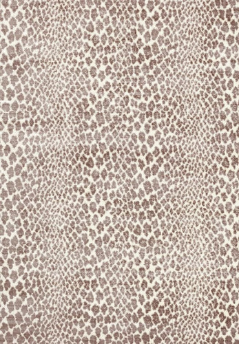 Cheetah print area - rug,