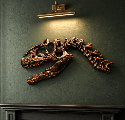 Dinosaur fossil skull wall - skull,