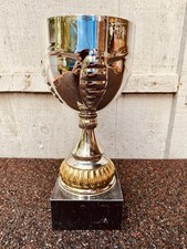 🏆 Silver Trophy No