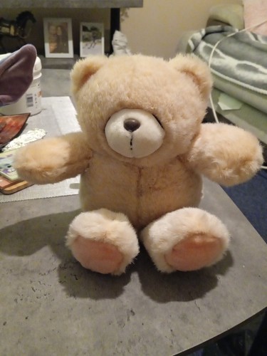 Andrew brownsword teddy bear - andrew,