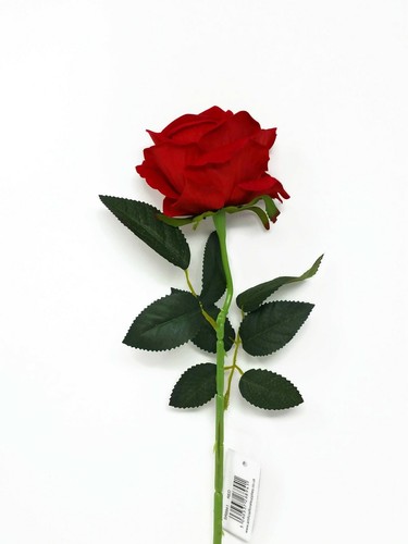 Long single stem velvet - long,