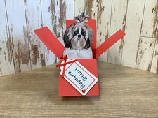 ShiTzu Dog, Red Birthday Card