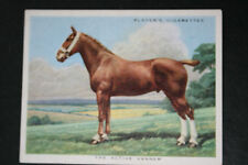 VAN HORSE   Vintage 1939 Illustrated Card  EE31