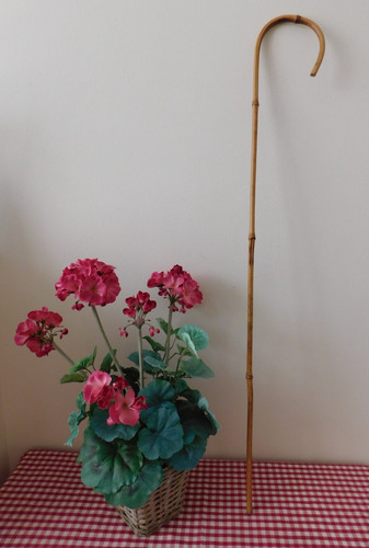 Charming antique bamboo - 31",