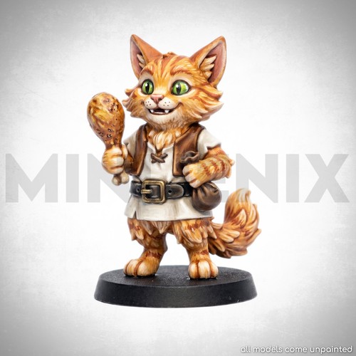 Tavern cat fantasy animal - tavern, 3