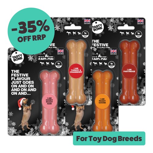 Tastybone festive nylon dog - tastybone,