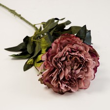 Artificial Silk Peony Pongee 2