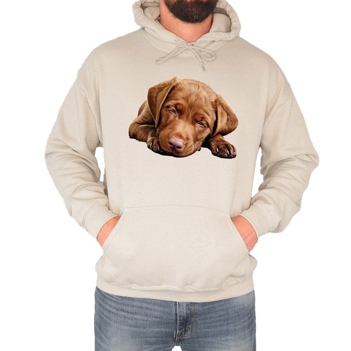 Cute sleepy brown labrador - sleepy,