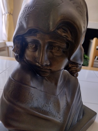 Bronze effect hollow bust - effect,