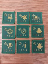 vintage  Girl Guide nine staged badges Brand New