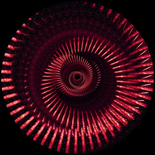 Muse the wow signal - ,