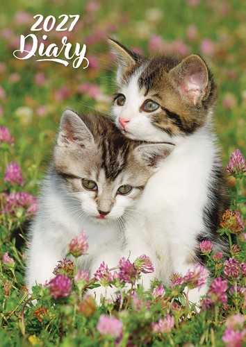 Cute kittens 2027 a5 padded - cute,