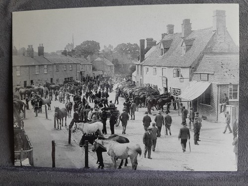 Bampton horse fair c1904