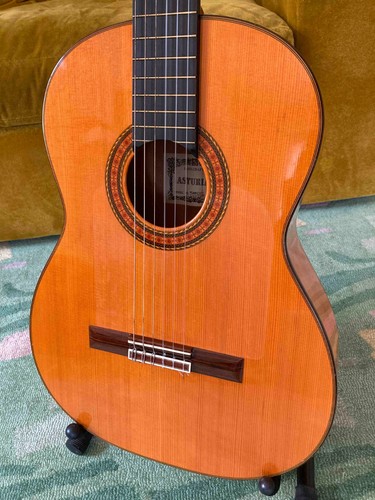 Asturias custom flamenco - asturias,