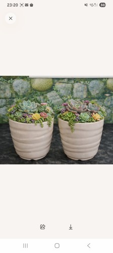 Ceramic beige potst used - potst,