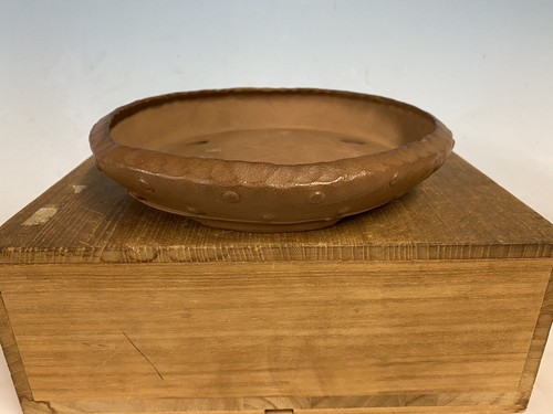 Large shohin size - large,