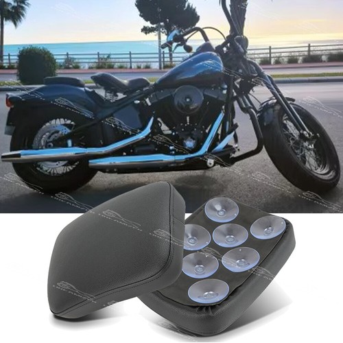 Motorcycle passenger pillion - passenger,
