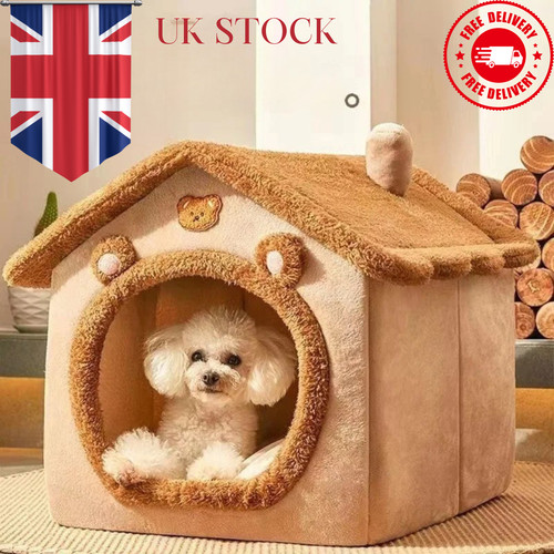 Pet cat kitten dog - dog, beds