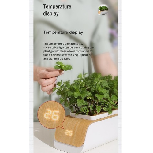 Indoor herb garden starter - garden, kit