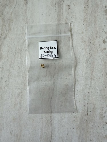 Gold nugget from alaska - from,