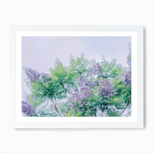 Lilac tree art print framed - lilac,