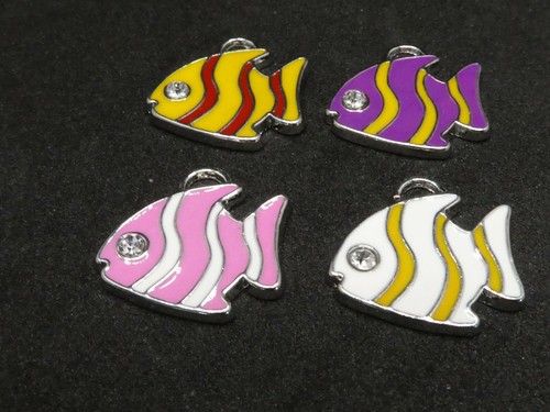 Clearance angel fish - clearance,