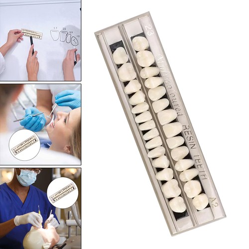 Dental denture resin false - denture,