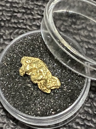 68g raw gold alaskan - alaskan, nuggets