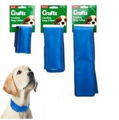 Crufts summer pet blue - summer,