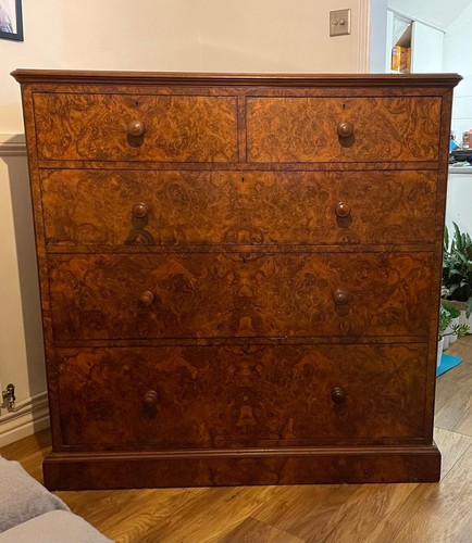 Antique chest drawers burr - chest,