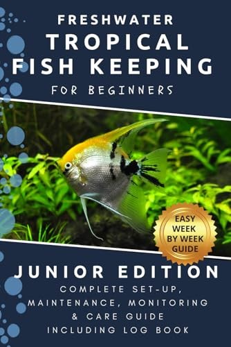 Freshwater tropical fish - tropical,