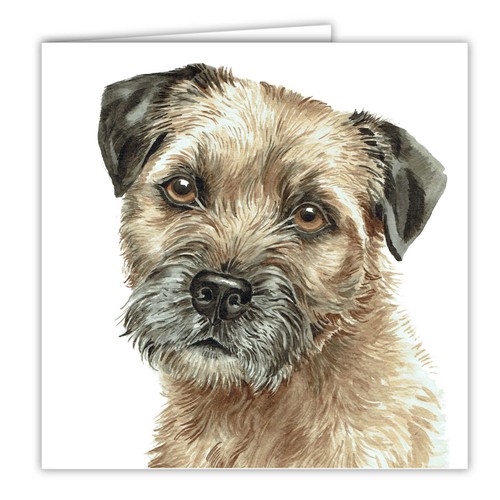 Border terrier greetings card - terrier,
