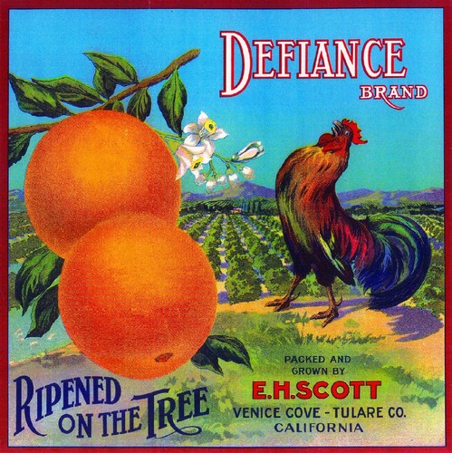Venice cove defiance - venice,