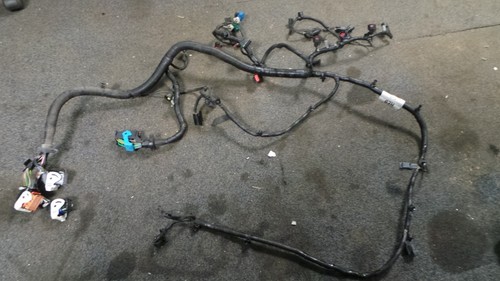 Ford focus harness sub loom - focus,