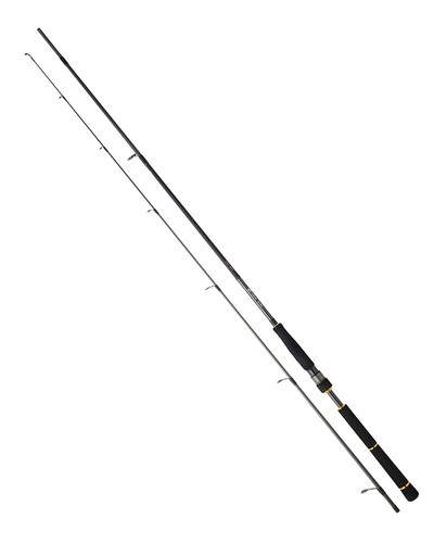 Daiwa seabass 2pc spinning - seabass,