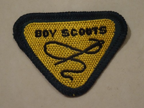 Boy scouts wolf cub - boy,