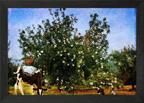 Pocket watch tree framed - watch,