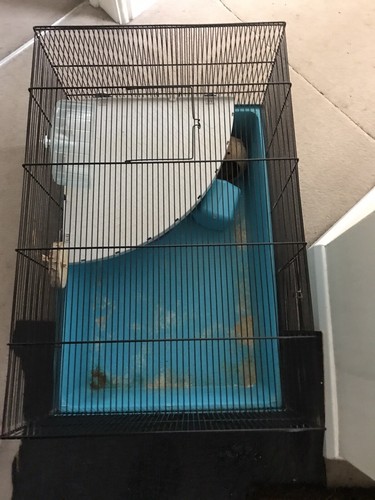 Hamster cage - hamster,