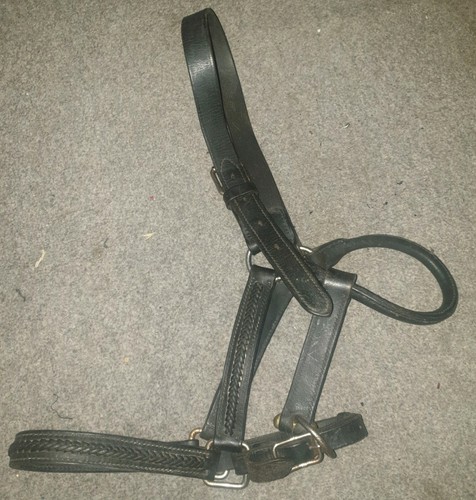 Leather headcollar - leather,