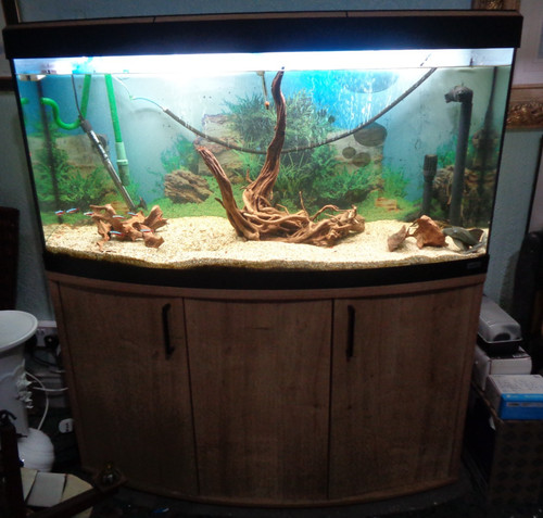 4ft bowfront juwel vision 260 - 4ft,