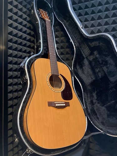 Canadian acoustic guitar