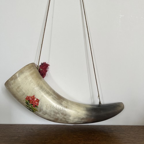 Decorative cow horn for - decorative,