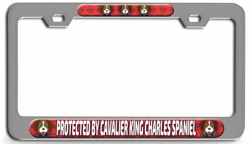 Protected cavalier king - protected,
