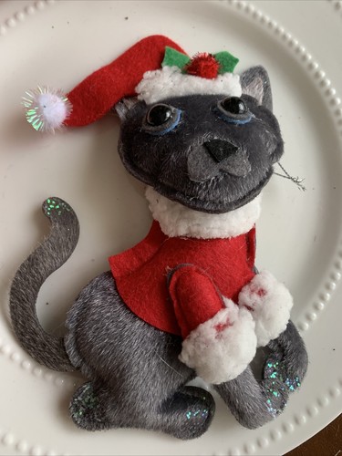 Gorgeous silver maltese cat - gorgeous,