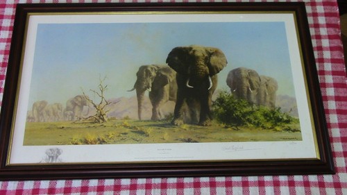 David shepherd framed - , ltd