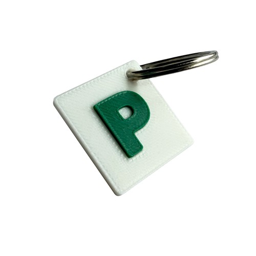 Plate keyring - keyring,